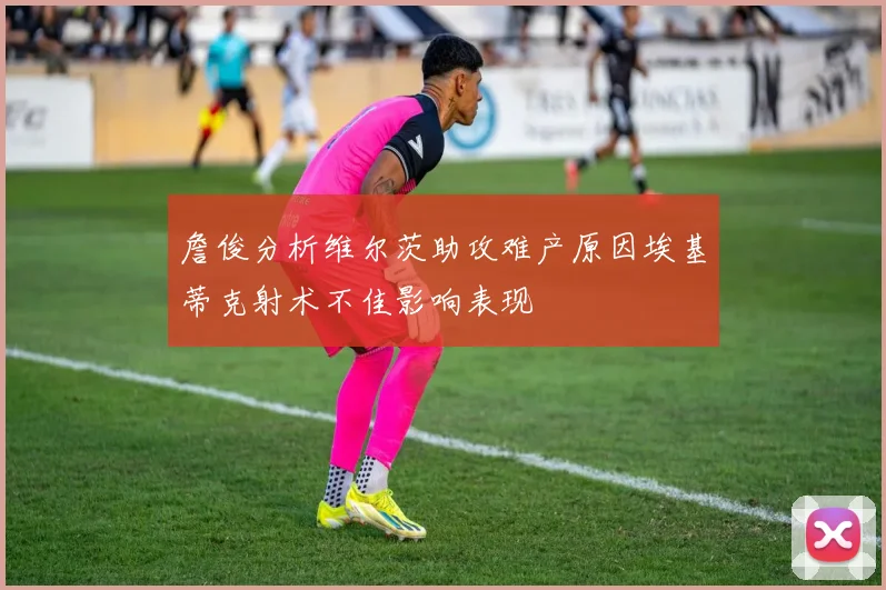 詹俊分析维尔茨助攻难产原因埃基蒂克射术不佳影响表现