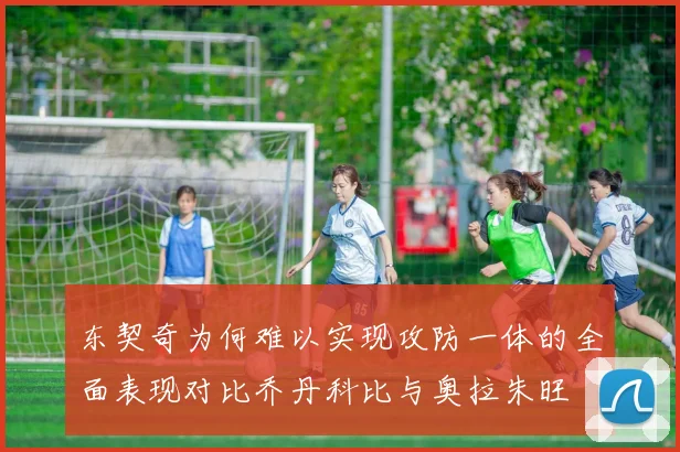 东契奇为何难以实现攻防一体的全面表现对比乔丹科比与奥拉朱旺