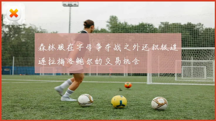 森林狼在字母争夺战之外还积极追逐拉梅洛鲍尔的交易机会