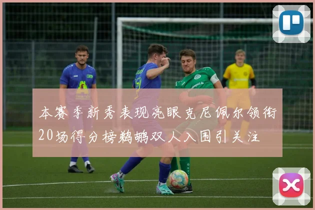 本赛季新秀表现亮眼克尼佩尔领衔20场得分榜鹈鹕双人入围引关注