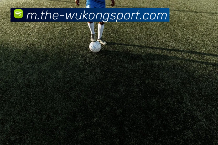 悟空体育全站App