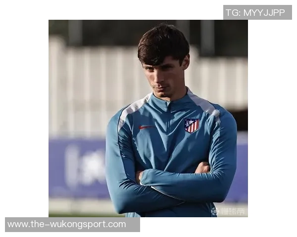 勒诺尔芒韧带无损伤恢复期预计为一个半至两个月